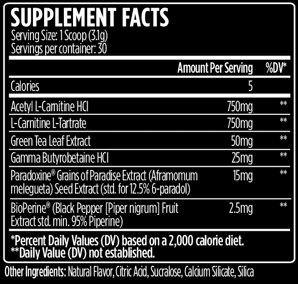 L-Carnitine 1500 Heat Powder - Muscle Factory, LLC