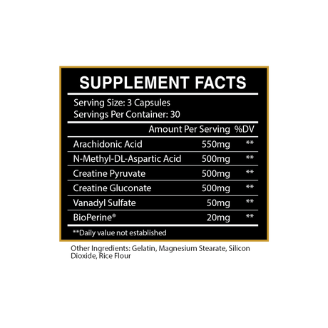 WARPATH - WORKOUT MAXIMIZER - Muscle Factory, LLC