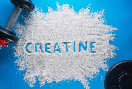 CREATINE MONOHYDRATE VS CREATINE HCL - Muscle Factory SC