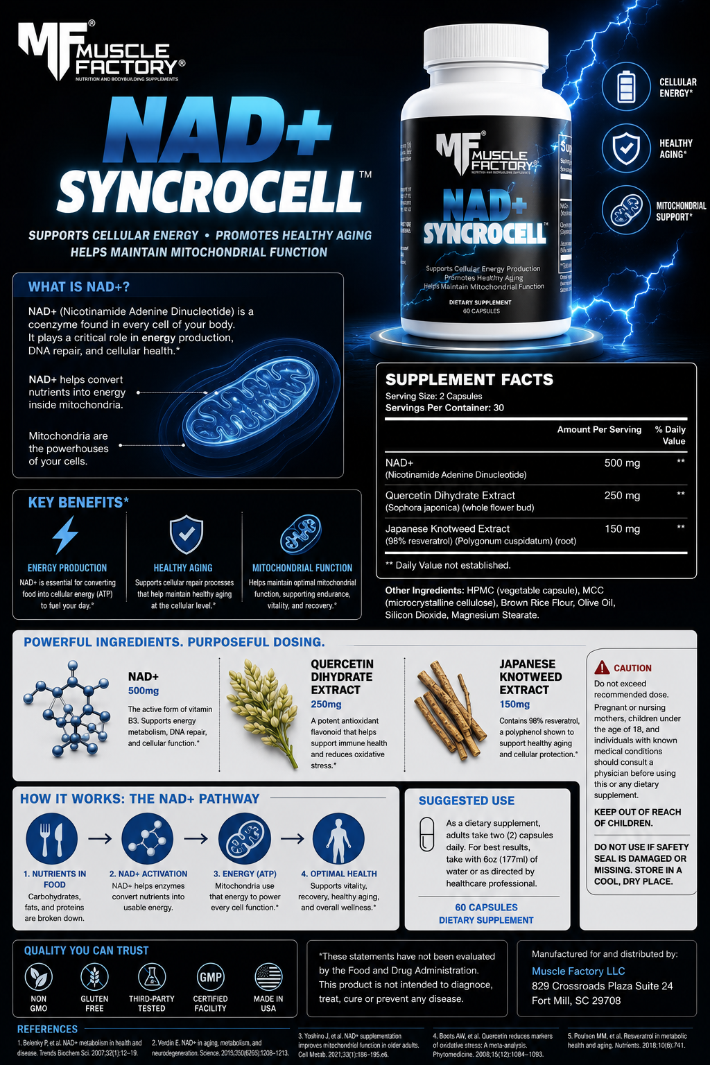 NAD+ for Performance, Cellular Energy & Healthy Aging: Meet SYNCROCELL™ by MUSCLE FACTORY®