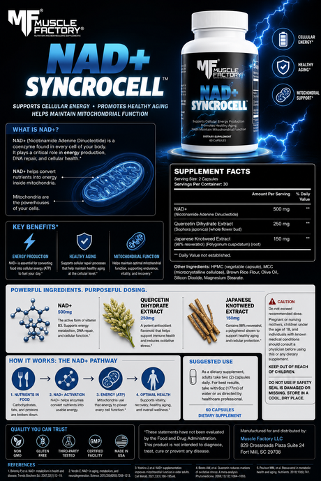 NAD+ for Performance, Cellular Energy & Healthy Aging: Meet SYNCROCELL™ by MUSCLE FACTORY®