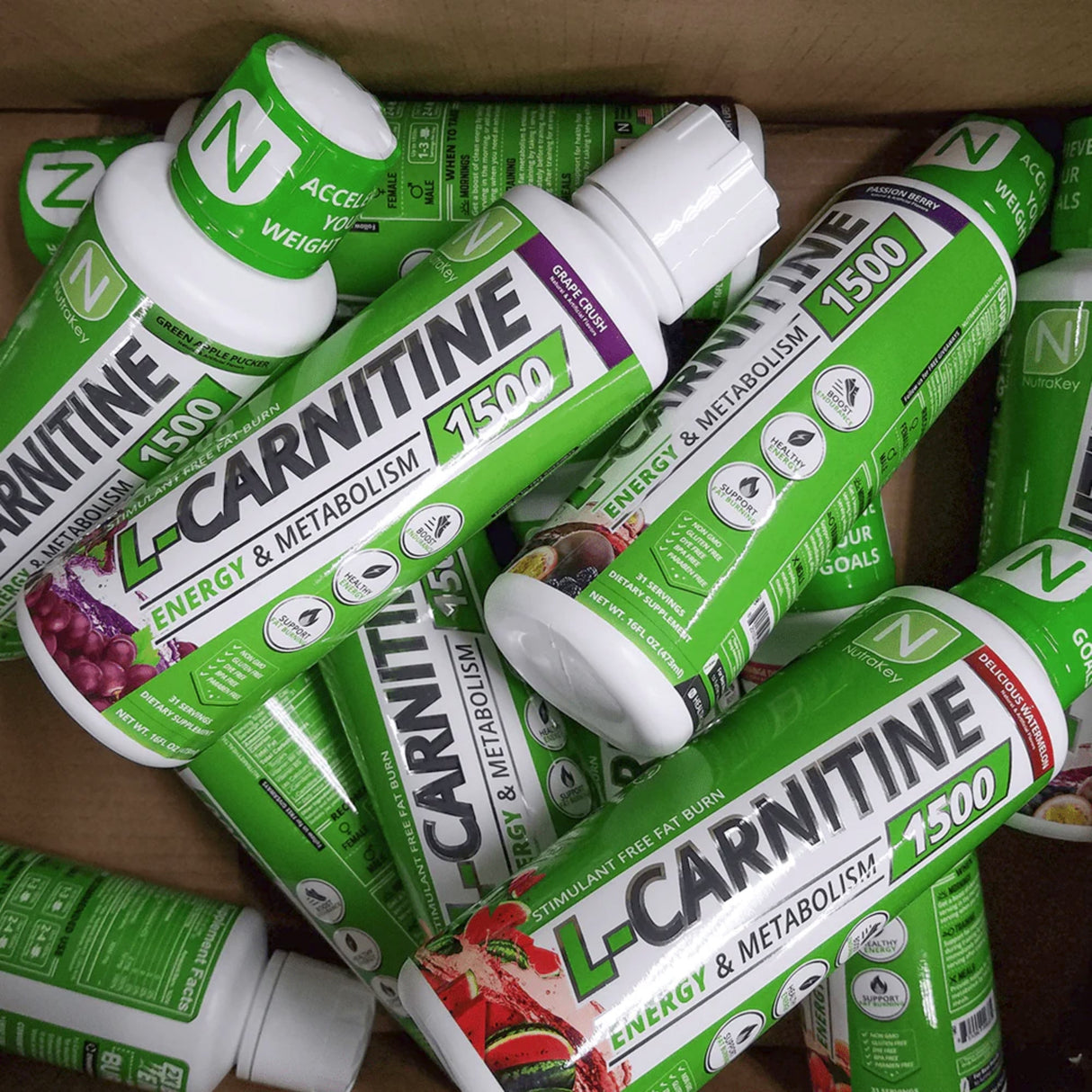 L-Carnitine 1500- MUSCLE FACTORY L-Carnitine 1500- MUSCLE FACTORY