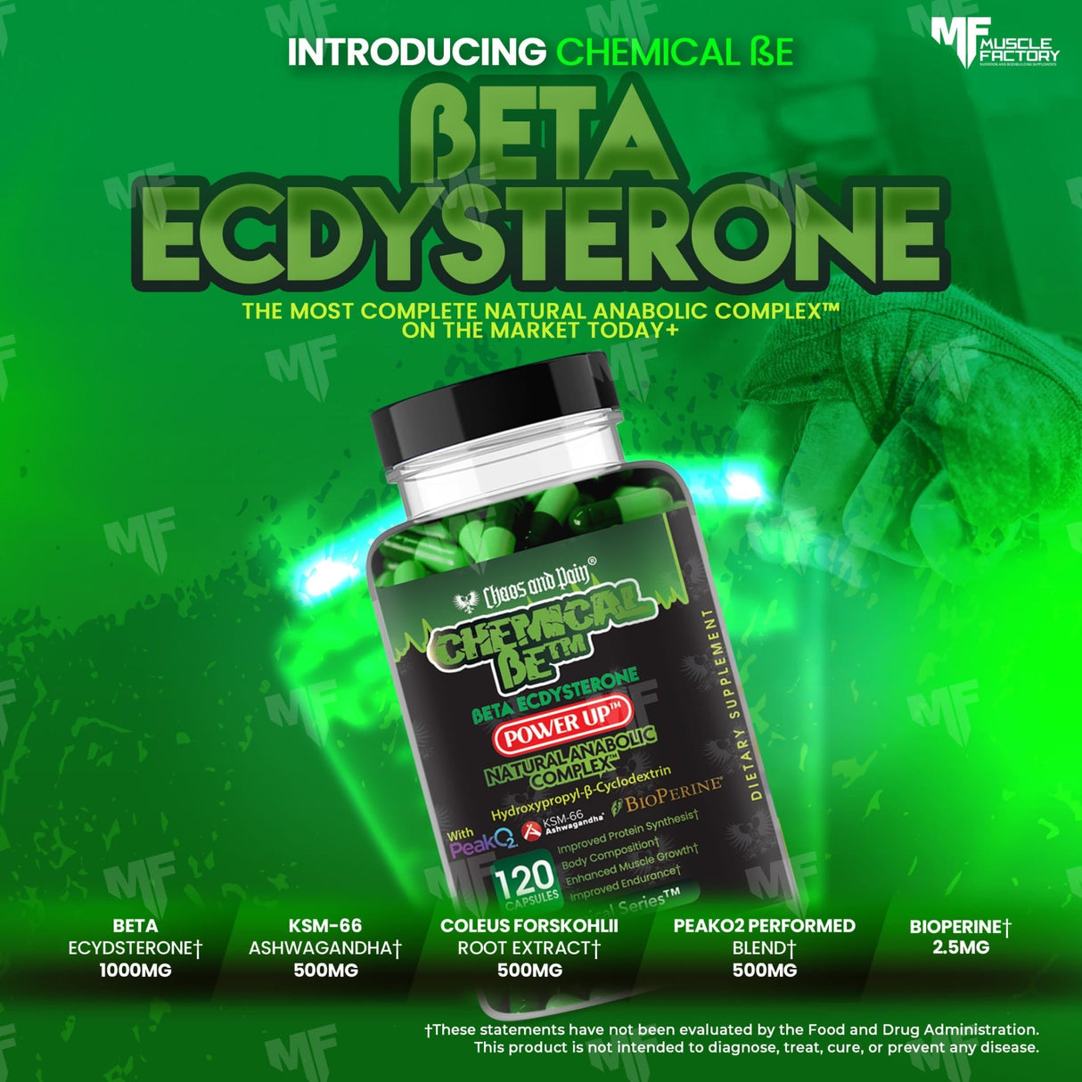 Chemical BE - Beta Ecdysterone - Muscle Factory, LLC