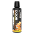 L-CARNITINE 3000 - Muscle Factory, LLC