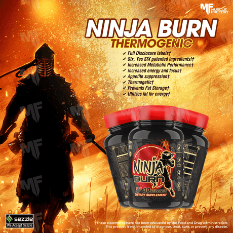 Ninja Burn by Ninja Up - Muscle Factory, LLC